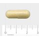 AOV 913 Glutamine-, Glycine- & Cysteïnecomplex Vegacaps 30VCP Afmeting capsule