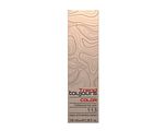 Toujours Trend Color  10.31 Extra Light Golden Ash Blonde 100ML