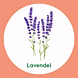Dettol Relaxing Wasgel Antibacterieel Lavendel 250ML Dettol Relaxing Wasgel Antibacterieel Lavendel lavendel afbeelding Dettol Relaxing Wasgel Antibacterieel Lavendel 250ML Dettol Relaxing Wasgel Antibacterieel Lavendel lavendel afbeelding