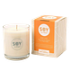 Soylites Soycandle Entice - Ginger, Cinnamon, Grapefruit, Sweet Orange & Pepper 70ML Entice Geurkaars met verpakking