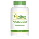 Elvitum Psylliummax Vegicaps 120CP