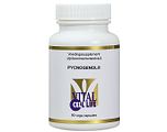 Vital Cell Life Pycnogenol Capsules 90CP