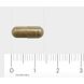 Orthica Weerstand Kuur Capsules 30CP