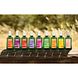 Weleda Wilde Rozen Harmoniserende Body Olie 100ML Weleda Wilde Rozen Harmoniserende Body Olie lijn Weleda Wilde Rozen Harmoniserende Body Olie 100ML Weleda Wilde Rozen Harmoniserende Body Olie lijn