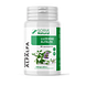 Soria Natural Luzerne Alfalfa Capsules 80CP