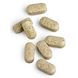 Biotics C Plus Tabletten 300TB