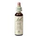 Bach Flower Remedies Kerspruim 06 20ML