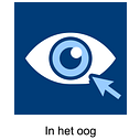 In het oog