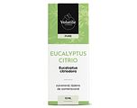 Volatile Eucalyptus Citrio 10ML