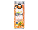 Searoop Soda Biologische Sparkling Duindoorn Meidoorn Salie 250ML