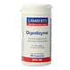 Lamberts Digestizyme Vegacapsules 100VCP Lamberts Digestizyme Vegacapsules 100VCP