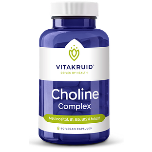 Vitakruid Choline Complex met Inositol, B1, B5, B12 & Folaat 90VCP