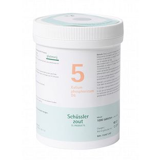 Pfluger Celzout 05 Kalium Phosphoricum D6 Tabletten 1000TB