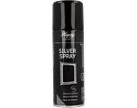 Hagerty Silver Spray 200ML
