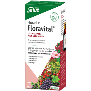 Salus Floradix Floravital 250ML