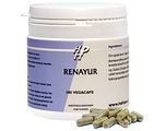 Holisan Renayur Capsules 100CP Holisan Renayur Capsules 100CP