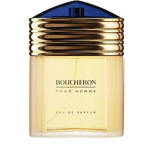 Boucheron Pour Homme Eau de Parfum 100ML