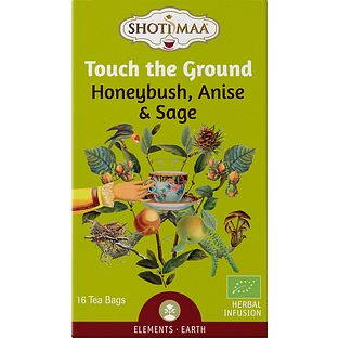 Shoti Maa Thee Touch the Ground 16ST