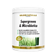 Golden Naturals Supergreens & Microbiotica Poeder 300GR Golden Naturals Supergreens & Microbiotica Poeder 300GR