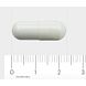 Orthica L-Glutamine-500 Capsules 60CP