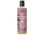 Urtekram Soft Wild Rose Colour Preserve Shampoo 250ML
