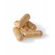 Biotics Meda-Stim Capsules 100TB Biotics Meda-Stim Capsules 100TB