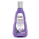 Guhl Zilverglans & Verzorging Shampoo 250ML