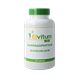 Elvitum Harpagophytm Duivelsklauw Capsules 90CP