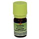 Volatile Cypres (Cypressus Sempervirens) 5ML flesje Volatile Cypres (Cypressus Sempervirens) 5ML flesje