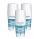 Celenes by Sweden Thermal Geurloze Minerale Roll-On Deodorant Multiverpakking 3x75ML Celenes by Sweden Thermal Geurloze Minerale Roll-On Deodorant Multiverpakking 3x75ML