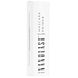 Nanolash Mascara Primer 10ML
