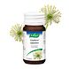 A.Vogel Cinuforce Tabletten 80TB A.Vogel Cinuforce Tabletten 80TB