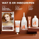 L'Oréal Paris Excellence Creme - 8UR Universeel Licht Koper 1ST In de verpakking