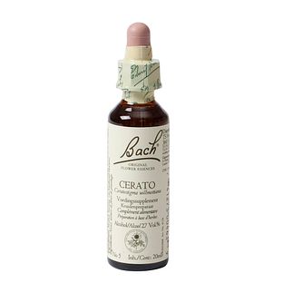 Bach Flower Remedies Loodkruid 05 20ML Bach Flower Remedies Loodkruid 05 20ML