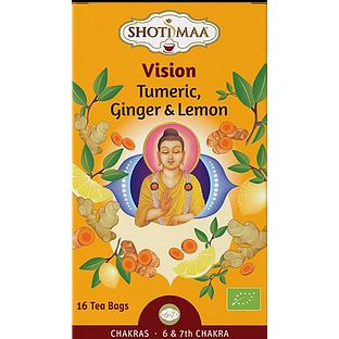 Shoti Maa Thee Vision 16ST