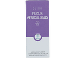 RP Vitamino Analytic Oligoplant Fucus Vesiculosus 120ML RP Vitamino Analytic Oligoplant Fucus Vesiculosus 120ML