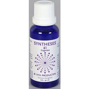 Vita Producten Vita Syntheses 61 Cognitie 30ML