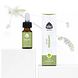 Chi Natural Life Lavendel Spijk Etherische Olie Bio 10ML Sfeerbeeld