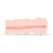 Eros FPPR. Vacuum Cup Masturbator Anus 1ST Doorsnede van de sleeve