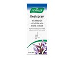 A.Vogel Keelspray 30ML