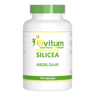 Elvitum Silicea Tabletten 100TB
