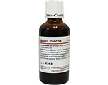 Pascoe Amara Druppels 50ML
