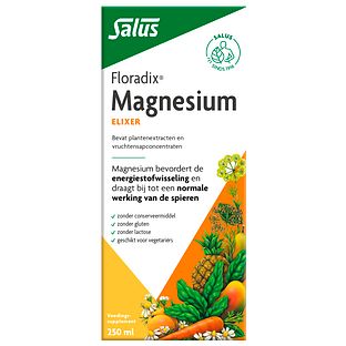 Salus Floradix Magnesium 250ML
