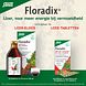 Salus Floradix IJzer Tabletten 84TB