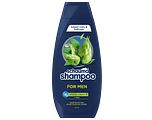 Schauma Shampoo For Men Voor Elke Dag 400ML Schauma Shampoo For Men Voor Elke Dag 400ML