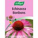 A.Vogel Echinacea Bonbons 75GR A.Vogel Echinacea Bonbons 75GR