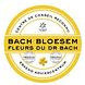 Lemon Pharma Bach Flower No39 Emergency Druppels 20ML