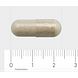 AOV 1002 Slaapnorm Capsules 30VCP formaat capsule