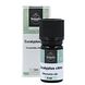 Volatile Eucalyptus Citrio 5ML verpakking met flesje