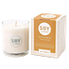 Soylites Soycandle Decadence - Vanilla & Ylang Ylang 70ML Decadence Geurkaars met verpakking